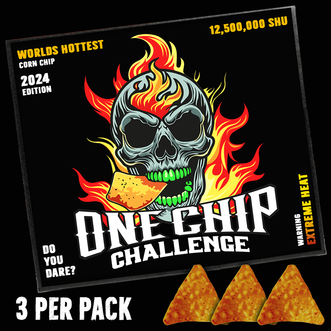 One Chip Challenge Hot Chip 2024