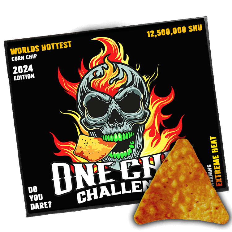 One Chip Challenge Hot Chip 2024