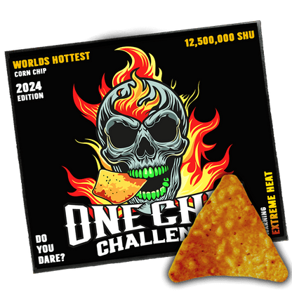 One Chip Challenge Hot Chip 2024